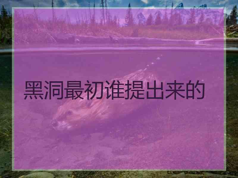 黑洞最初谁提出来的