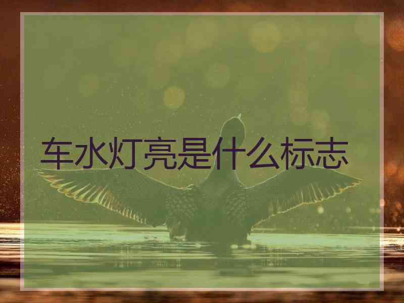 车水灯亮是什么标志