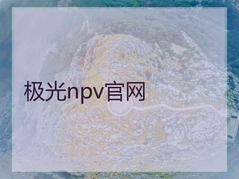 极光npv官网