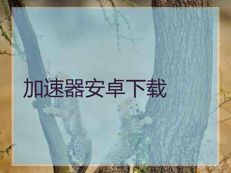 加速器安卓下载