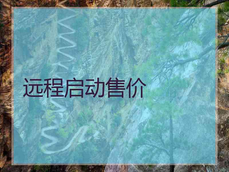 远程启动售价