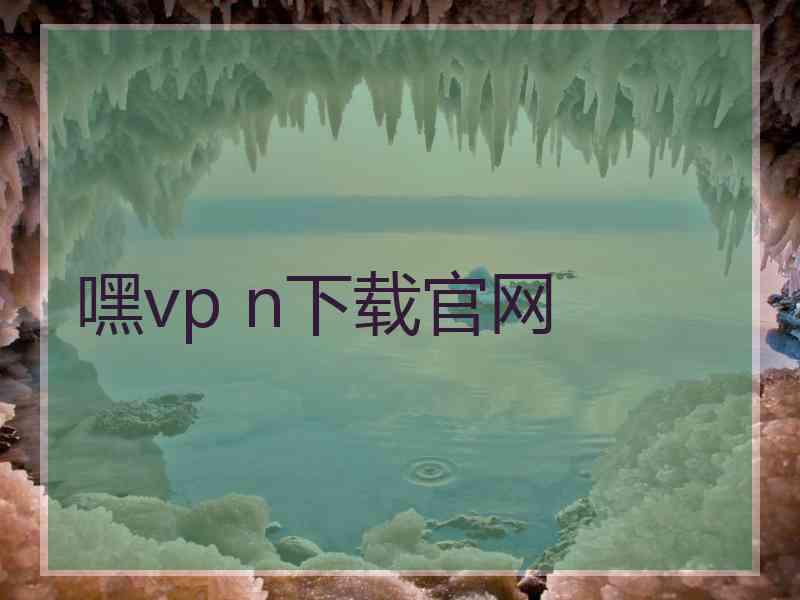 嘿vp n下载官网