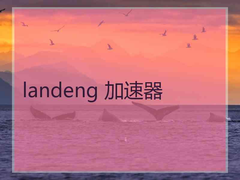 landeng 加速器