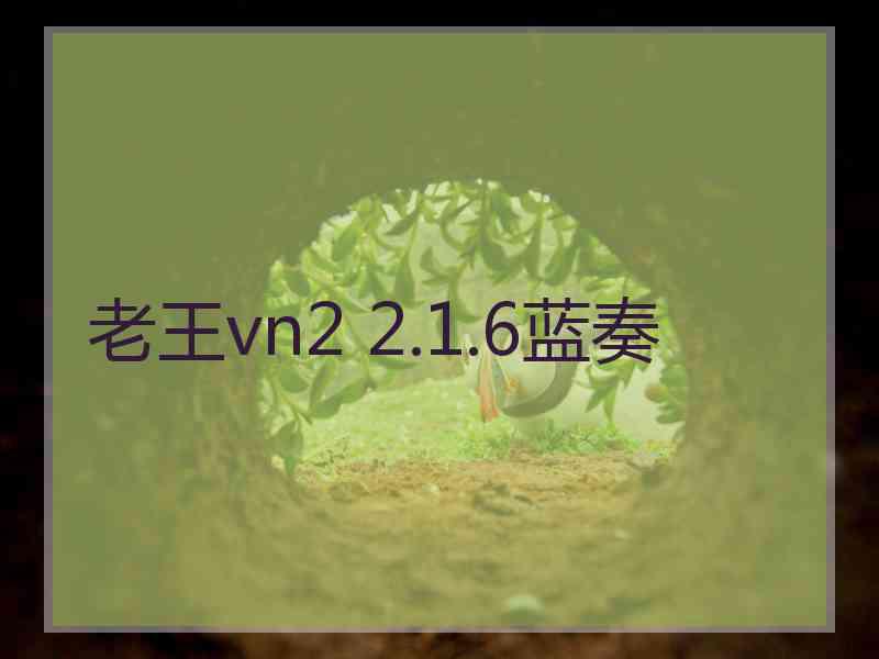 老王vn2 2.1.6蓝奏