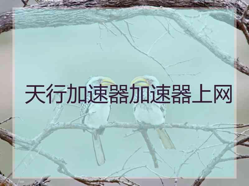天行加速器加速器上网