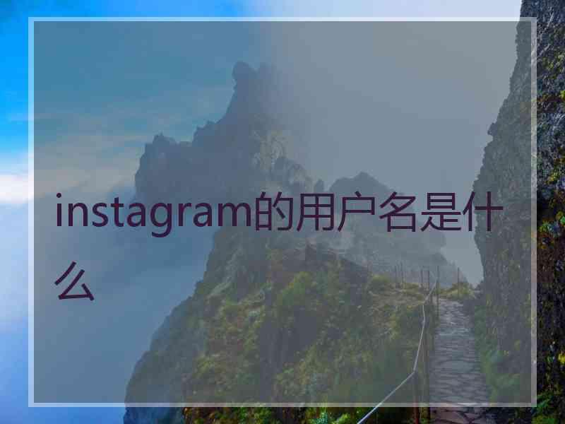 instagram的用户名是什么