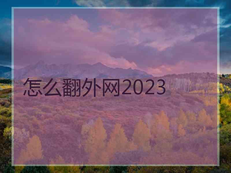 怎么翻外网2023