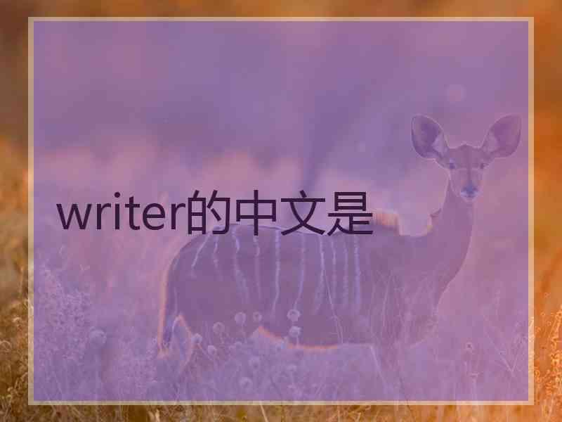 writer的中文是