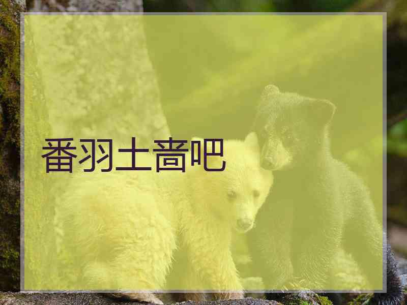 番羽土啬吧
