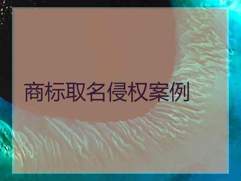 商标取名侵权案例