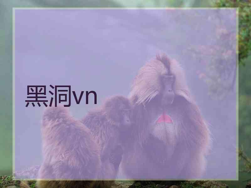 黑洞vn