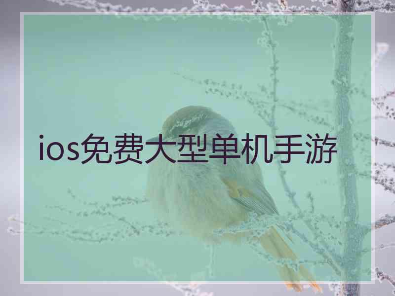 ios免费大型单机手游