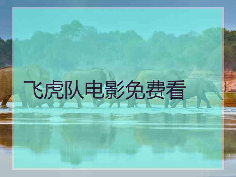 飞虎队电影免费看