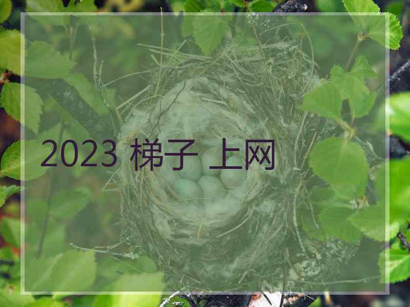 2023 梯子 上网