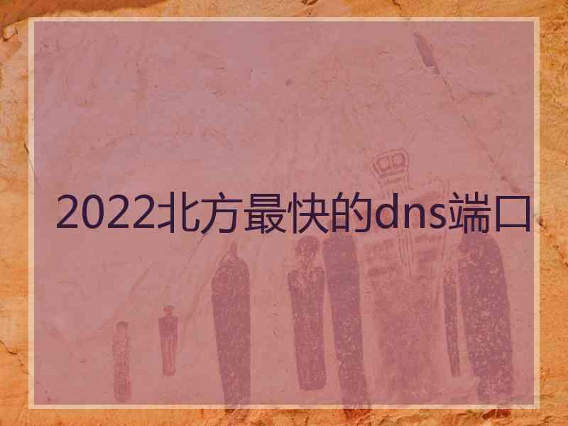 2022北方最快的dns端口