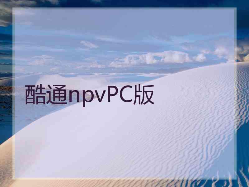 酷通npvPC版