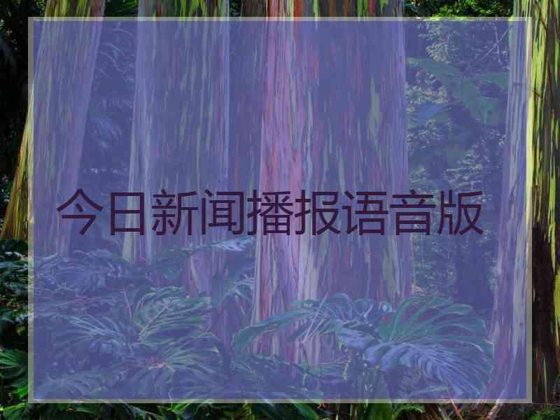 今日新闻播报语音版