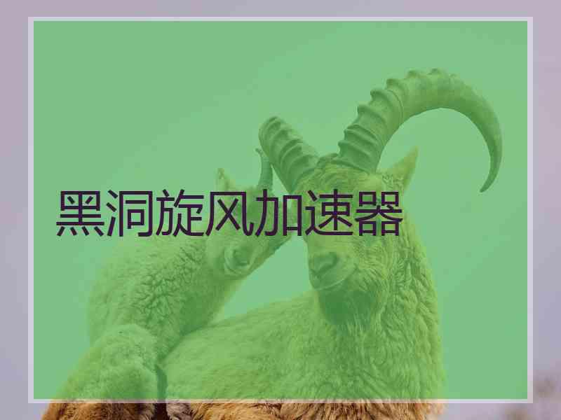黑洞旋风加速器