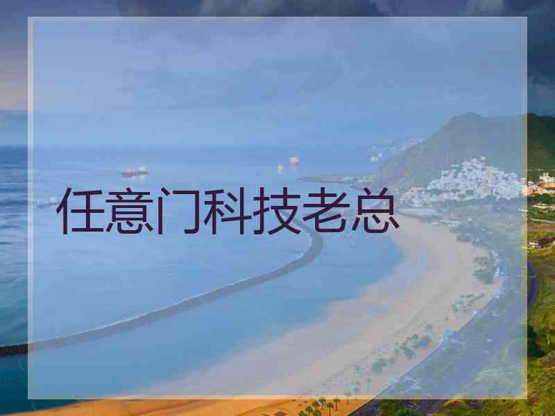 任意门科技老总