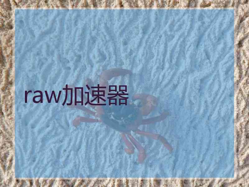 raw加速器