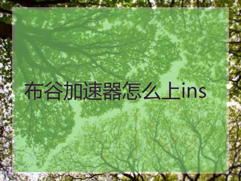 布谷加速器怎么上ins