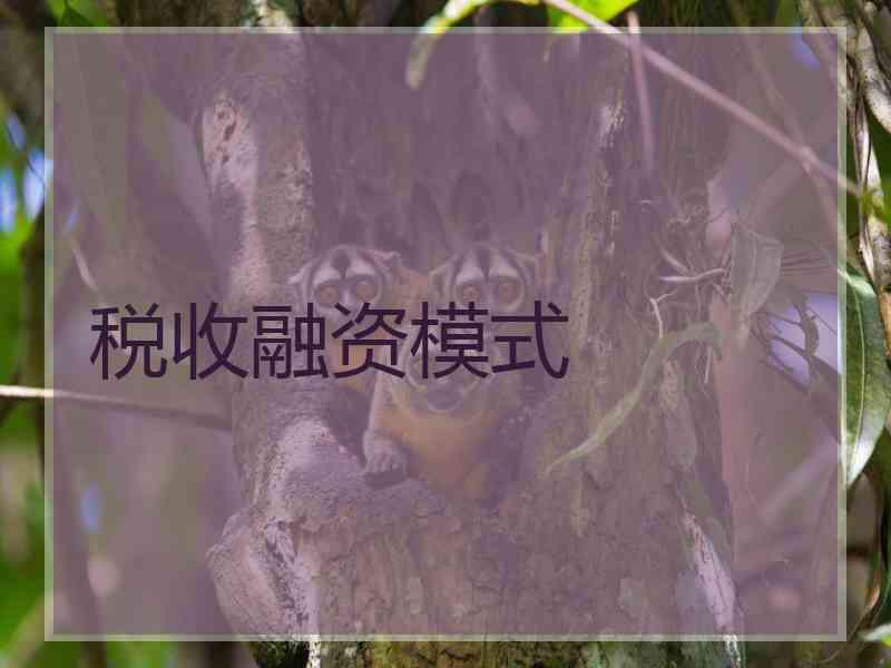 税收融资模式