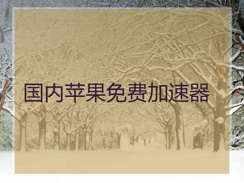 国内苹果免费加速器