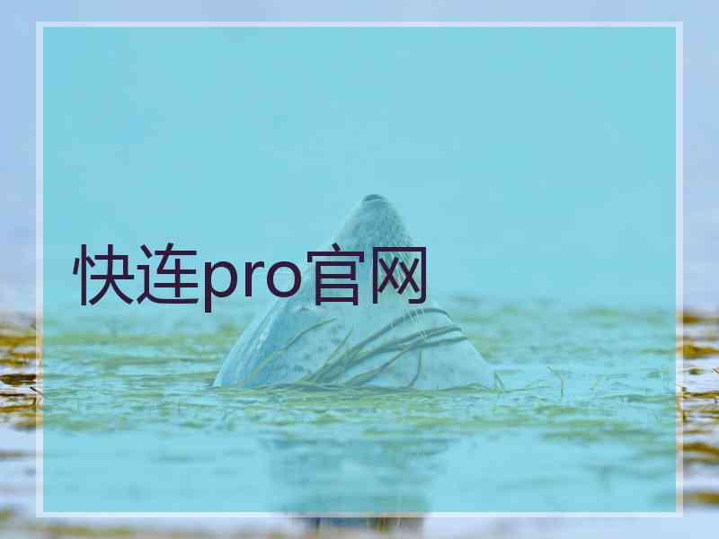 快连pro官网