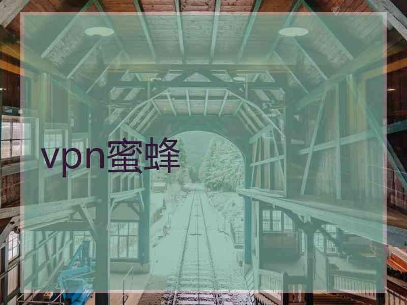 vpn蜜蜂