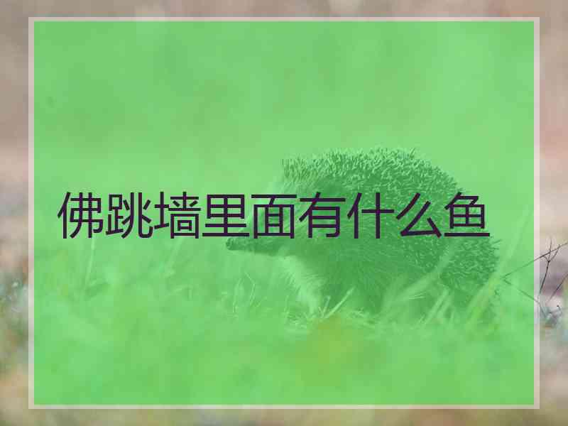 佛跳墙里面有什么鱼