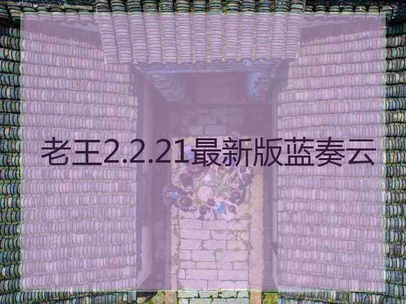 老王2.2.21最新版蓝奏云