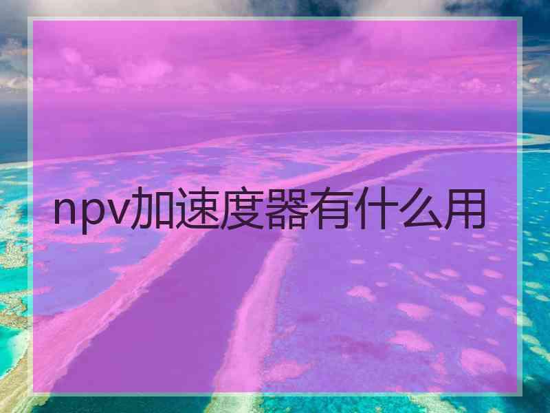 npv加速度器有什么用