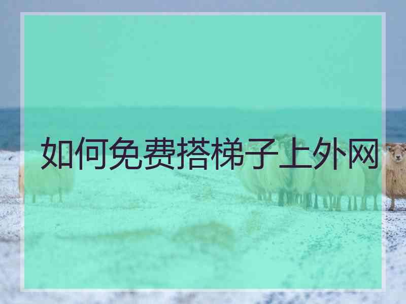 如何免费搭梯子上外网