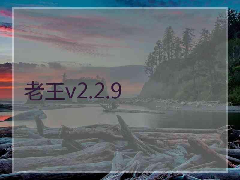 老王v2.2.9