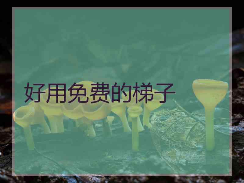 好用免费的梯子