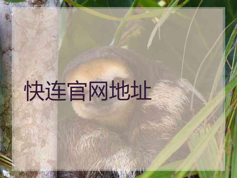 快连官网地址