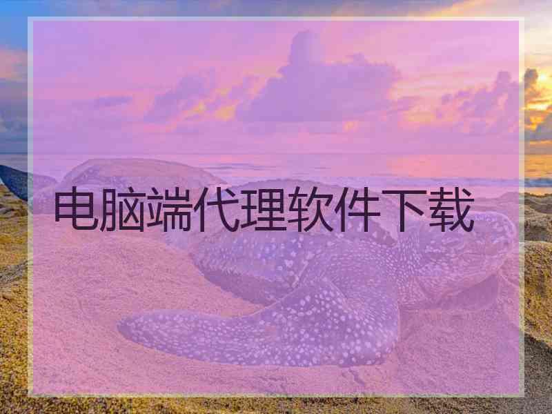 电脑端代理软件下载