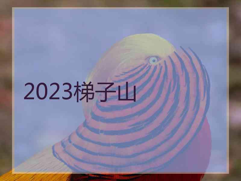 2023梯子山