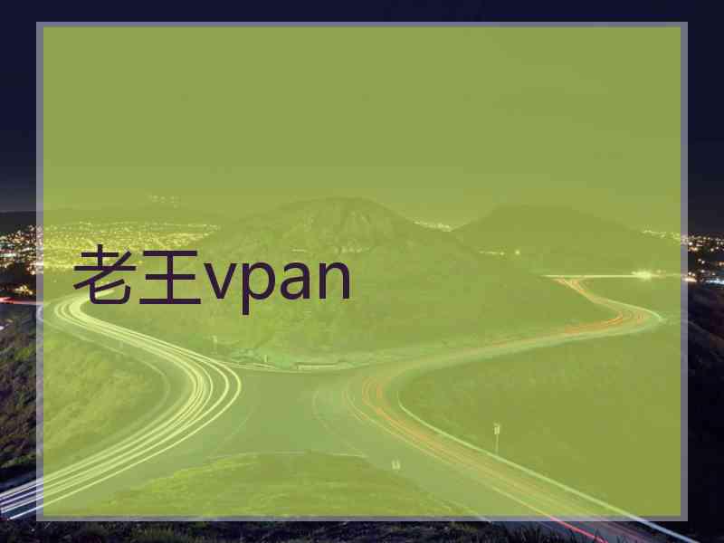 老王vpan