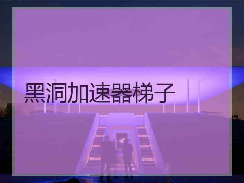黑洞加速器梯子