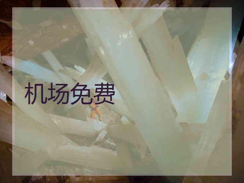 机场免费