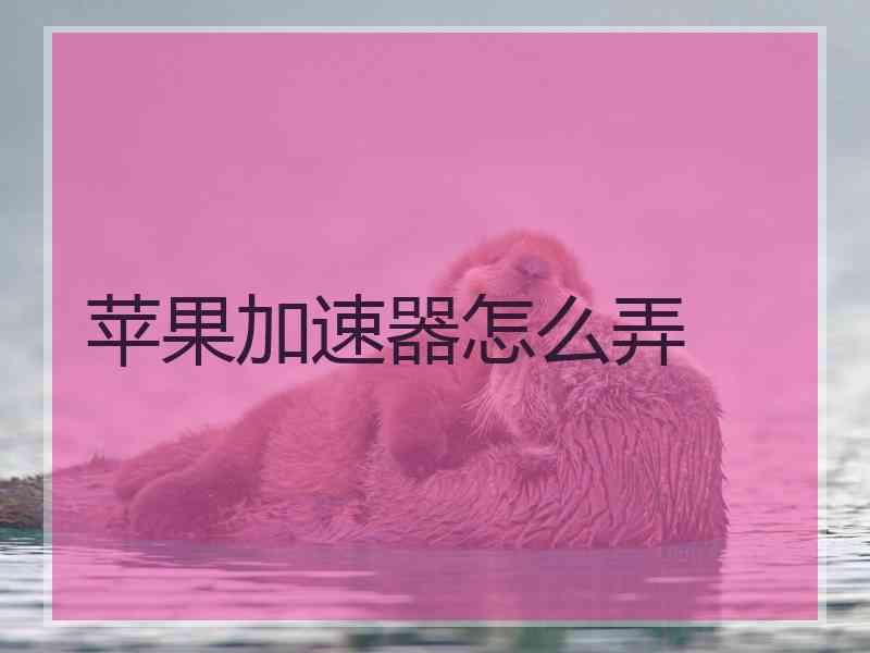 苹果加速器怎么弄