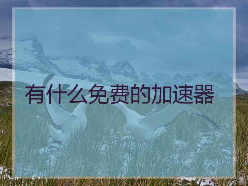 有什么免费的加速器