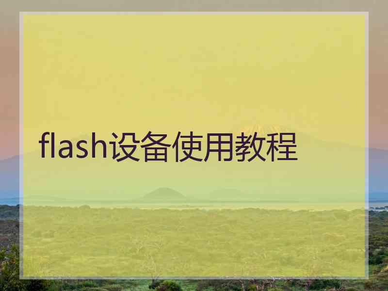 flash设备使用教程