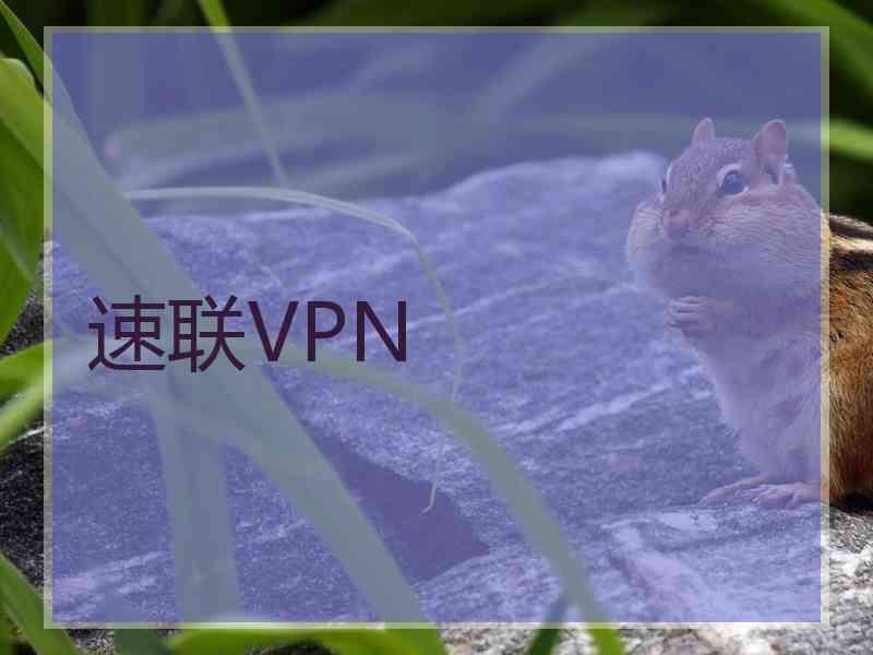 速联VPN
