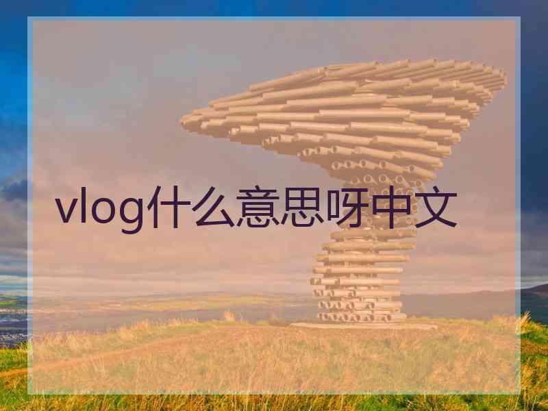 vlog什么意思呀中文
