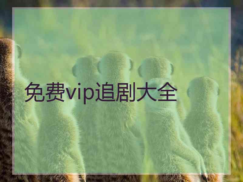 免费vip追剧大全