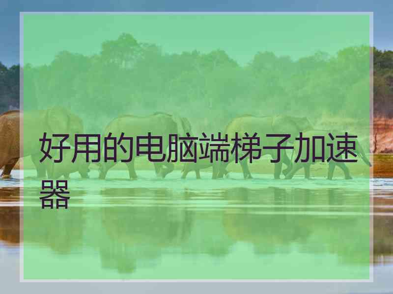 好用的电脑端梯子加速器