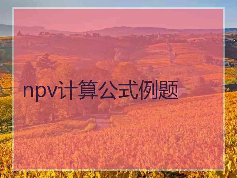 npv计算公式例题