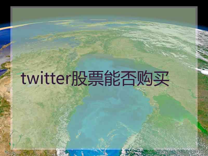 twitter股票能否购买